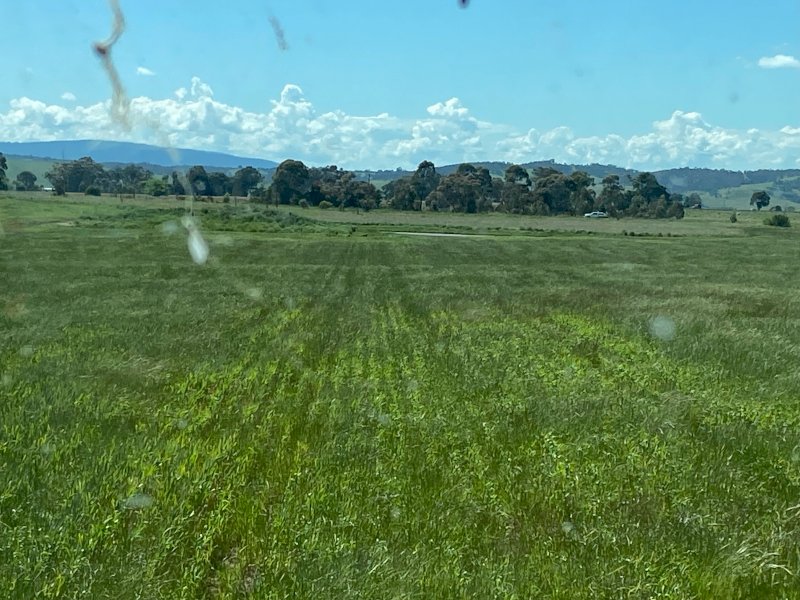 EOI 70ha Wheaten Hay Standing Crop