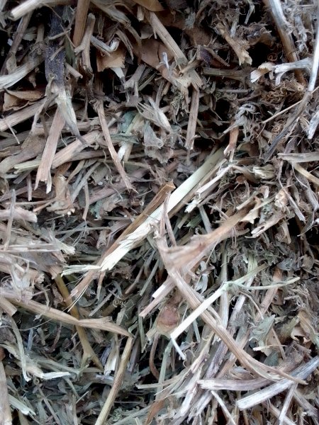 Vetch Hay 8x4x3 Bales