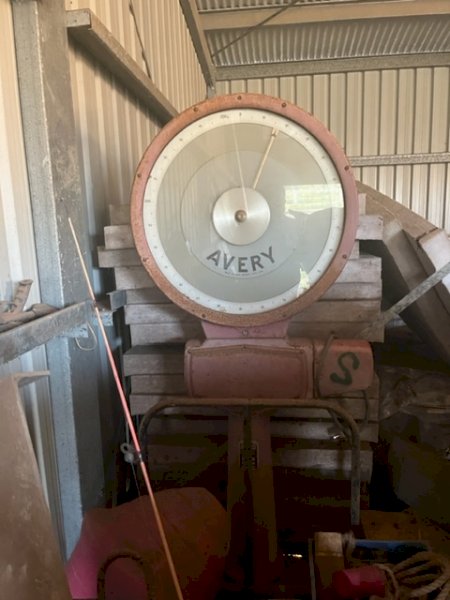 Avery Scales