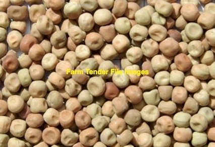 Butler Field Pea 40 mt approx