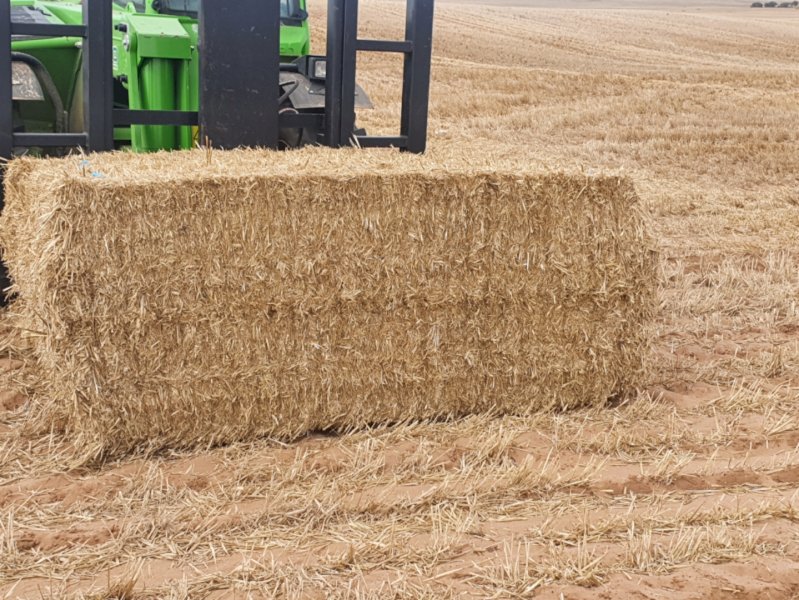 40mt Barley Straw 500kg 8x4x3 Bales (New Season 22/23)