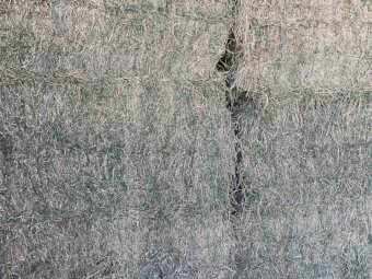 60mt Lucerne Hay 480kg 8x4x3 Bales