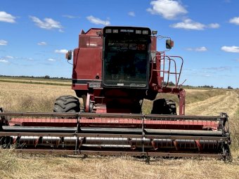 Case IH 1688 Header with Tracks and 2 Fronts