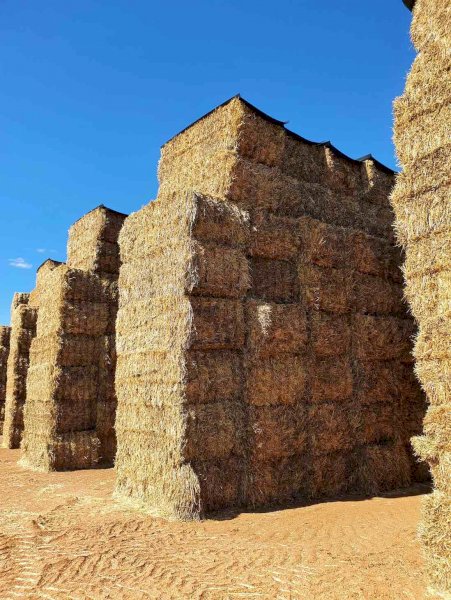 Oaten Hay 8x4x3 bales