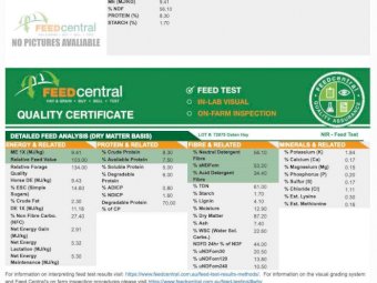 Oaten Hay 8x4x3 bales