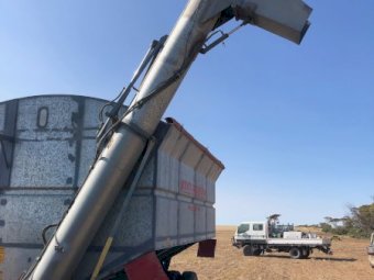 Moonta Engineering 30 tonne Chaser Bin