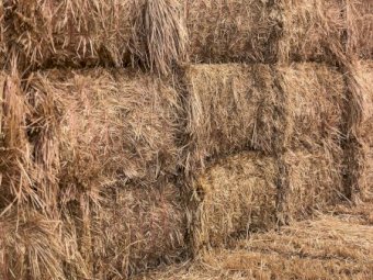 100mt Oaten Hay 700kg 8x4x3 Bales (New Season 22/23)