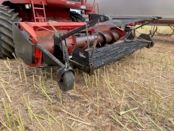Case Canola Front