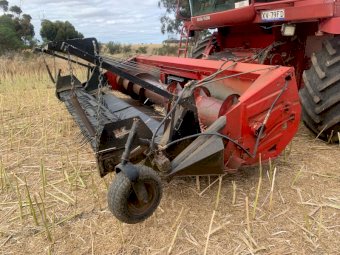 Case Canola Front