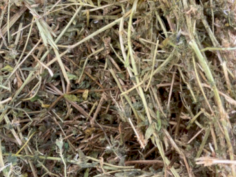 300 x Vetch Hay 300-350kg 4x4 Round Bales (New Season 22/23)