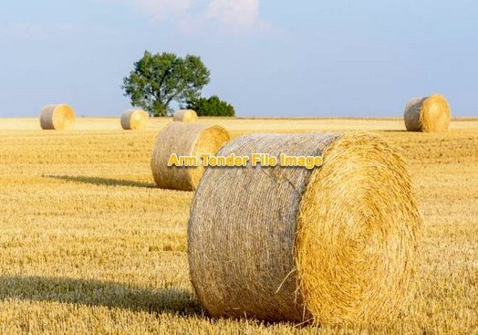Wheaten Hay Rolls 5x4 ( New Season 22/23)