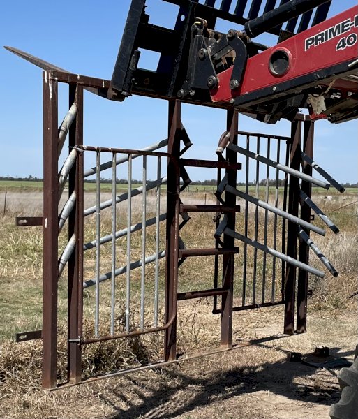 Cattle Spear Traps