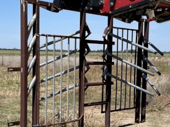Cattle Spear Traps