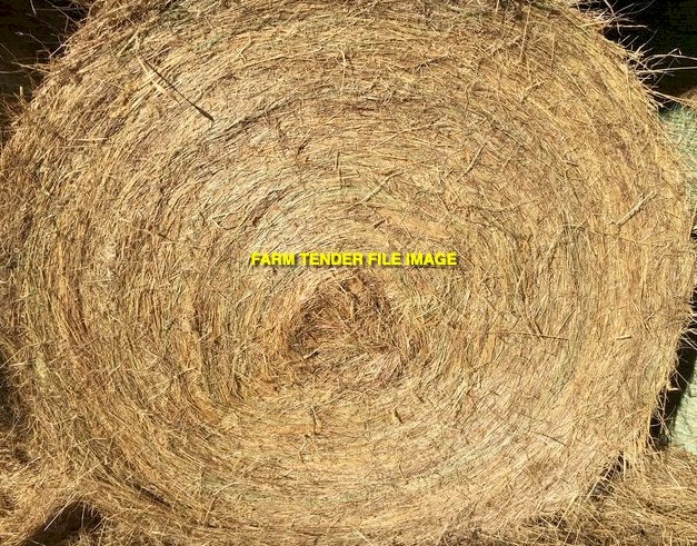 Large Round Bales of Pasture Hay cut January 12 2023