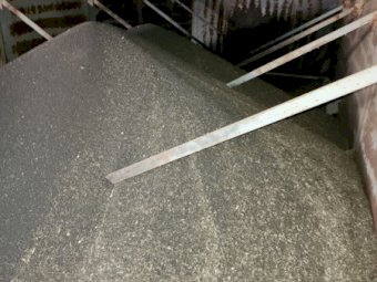 55mt Canola Seed
