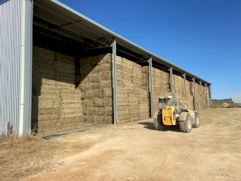 300mt Barley Hay 600-650kg 8x4x3 Bales (New Season 22/23)