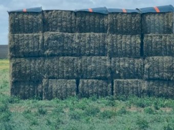 90mt Medic Hay 8x4x3 Bales