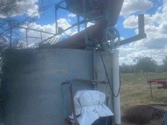 Seed Grader