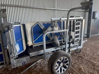 Clipex Sheep Handler with Tru Test Indicator