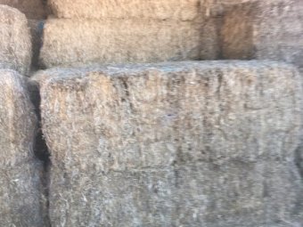 26m/t Vetch Hay