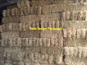 Small squares of Oaten hay  2022 season