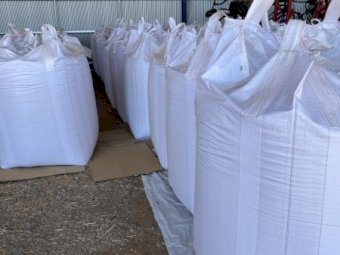 11mt Yallara Dual Purpose Oat Seed