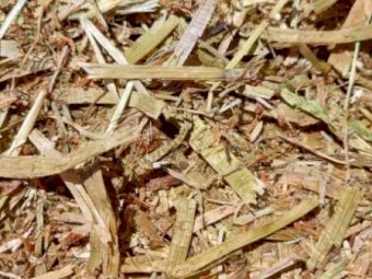200 x Clover Hay 400kg 5x4 Rolls (New Season 22/23)
