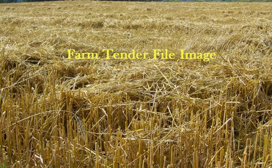 80 mt Barley Straw