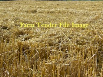 80 mt Barley Straw