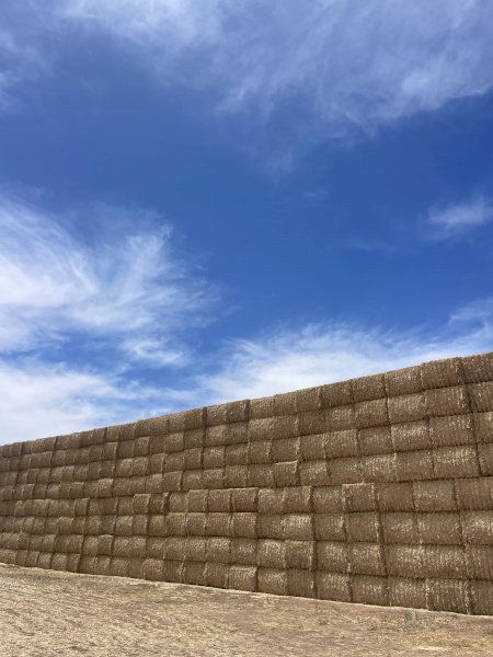 Wheaten Straw 8x4x3 Bales