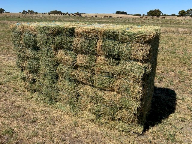 Irrigated Lucerne Hay Small Bales