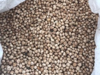 40 m/t  Lupins