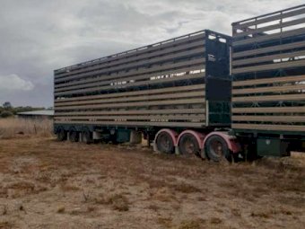 1 Set of 1998 Byrne B Double Stock Crates