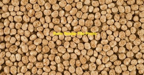 100MT Mandelup Lupins