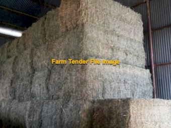 Ist Cut Lucerne Hay
