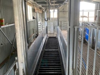 Under Auction - (A220) 2019 ProWay Bulk Handler 