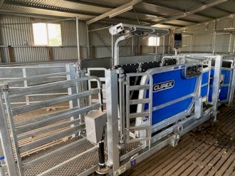 Under Auction - (A220) 2022 Clipex Sheep handler Contractor Model 