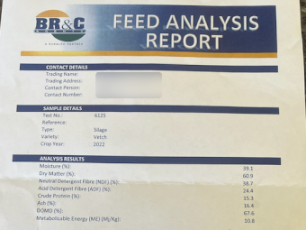 500 x Vetch Silage 4x4 Rolls (New Season 22/23)