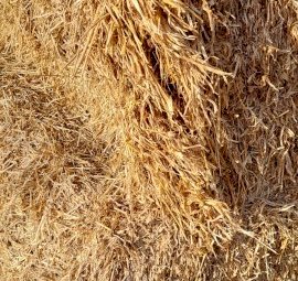 23' Season Balansa Clover 8x4x3 Bales