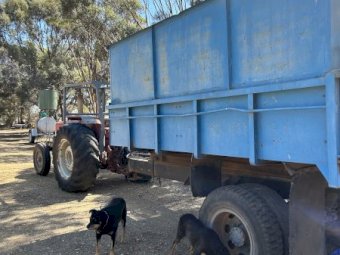 Jonker 8 tonne Grouper Bin