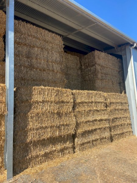240mt Wheaten Straw Lucerne Clover Mix 8x4x3 Bales (New Season 22/23)