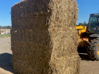 240mt Wheaten Straw Lucerne Clover Mix 8x4x3 Bales (New Season 22/23)