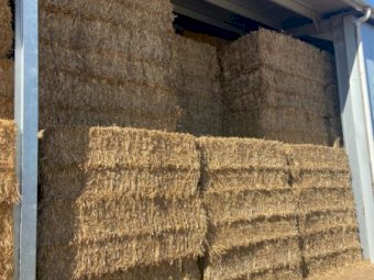 240mt Wheaten Straw Lucerne Clover Mix 8x4x3 Bales (New Season 22/23)