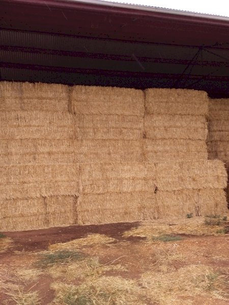 Wheaten Straw 500kg 8x4x3 Bales (22/23 Season)