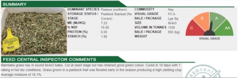 1100mt Pasture Hay 550kg 8x4x3 Bales