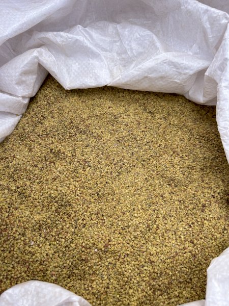 Biserrula Seed