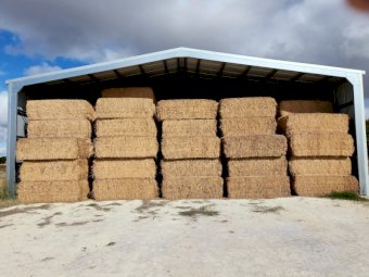 103mt Lucerne Hay 550-600kg 8x4x3 Bales (New Season 22/23)