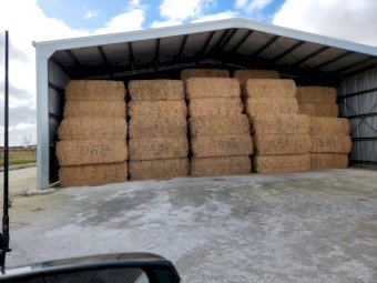 75mt Lucerne Hay 550-600kg 8x4x3 Bales (New Season 22/23)