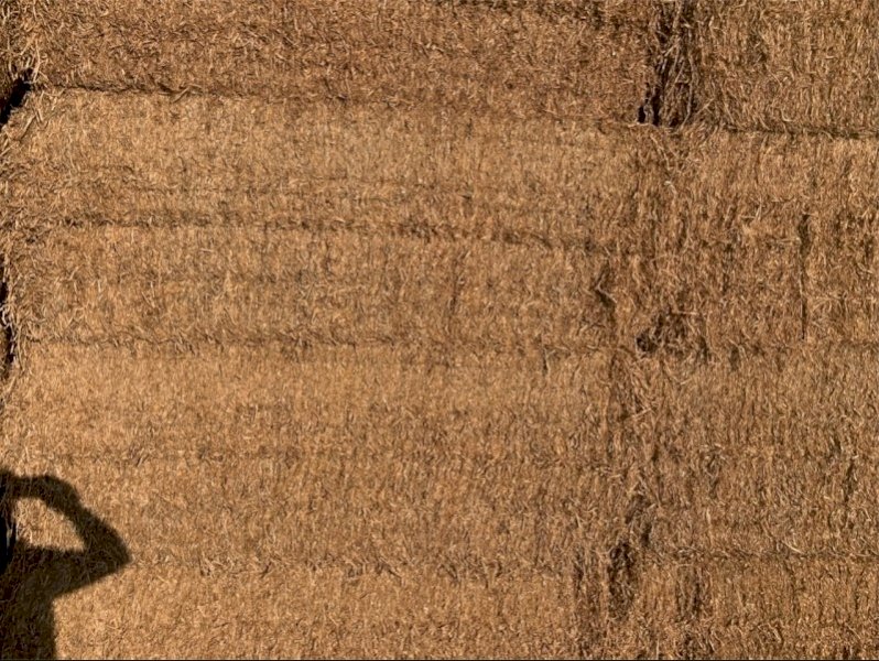 90 x Bales Pea Straw Large Squares