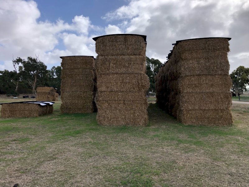 70mt Barley Hay 500-600kg 8x4x3 Bales (New Season 22/23)